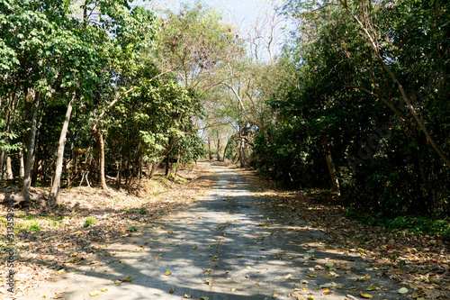 Concrete road paths on hillsides at Wat Khao Phrabat, Ban Laeng, Mueang Rayong District, Rayong Thailand. photo