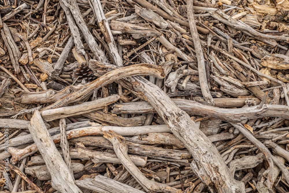 Driftwood on beach, Abstract grunge texture background of driftwood logs on beach in New Zealand Driftwood on beach, Abstract grunge texture background of driftwood logs on beach in New Zealand