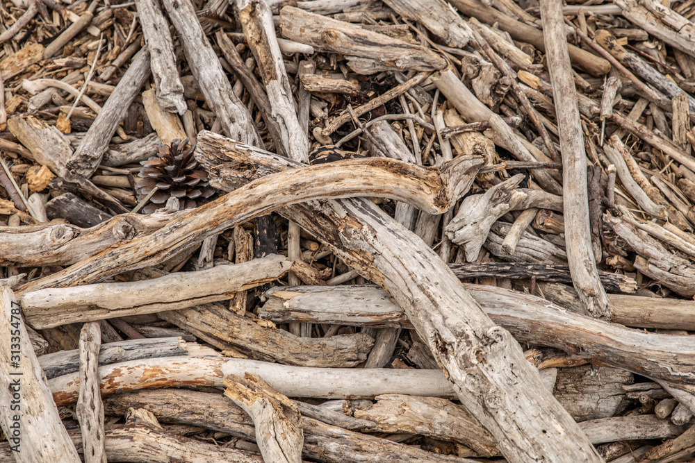 Driftwood on beach, Abstract grunge texture background of driftwood logs on beach in New Zealand