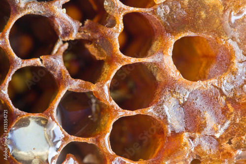 Bee honeycombs in macro. Natural beeswax from cells with honey close-up.