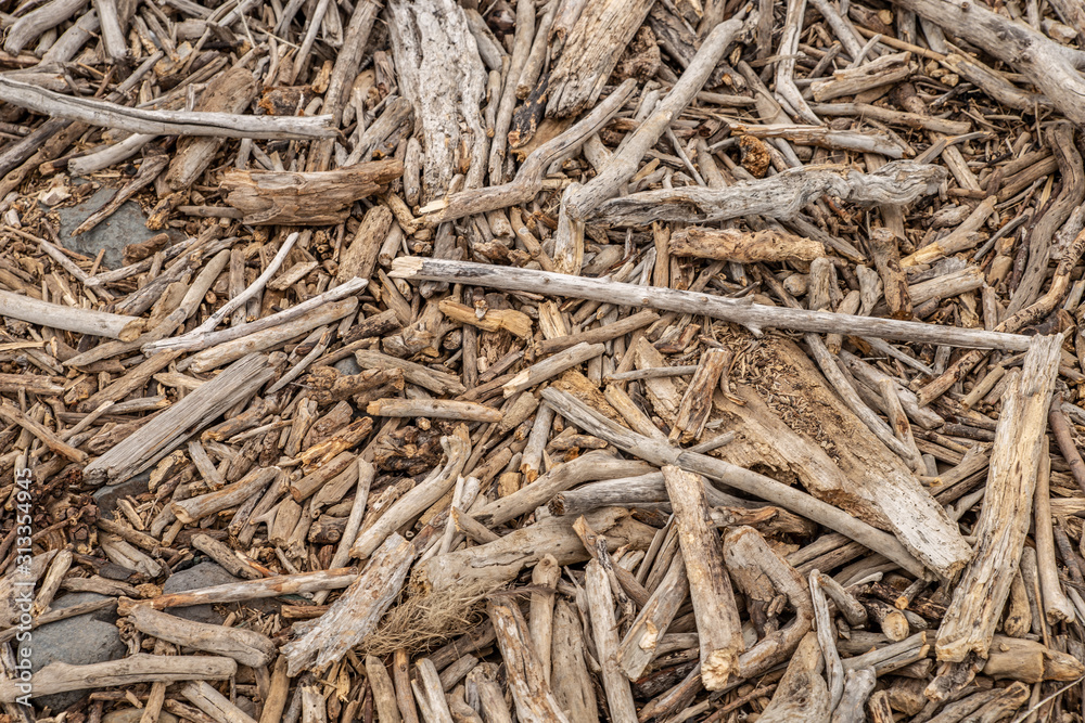 Driftwood on beach, Abstract grunge texture background of driftwood logs on beach in New Zealand Driftwood on beach, Abstract grunge texture background of driftwood logs on beach in New Zealand