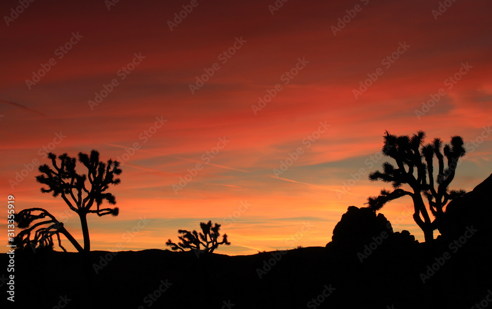 Breathtaking Sunset, Joshua Tree National Park, California Breathtaking Sunset, Joshua Tree National Park, California