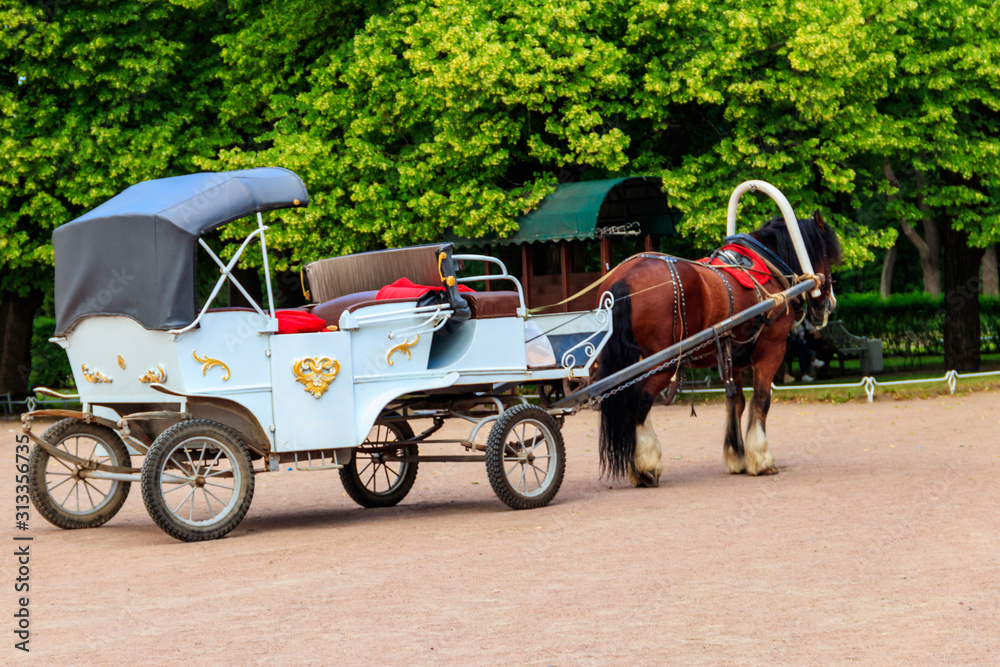 Empty horse-drawn carriage in a green park