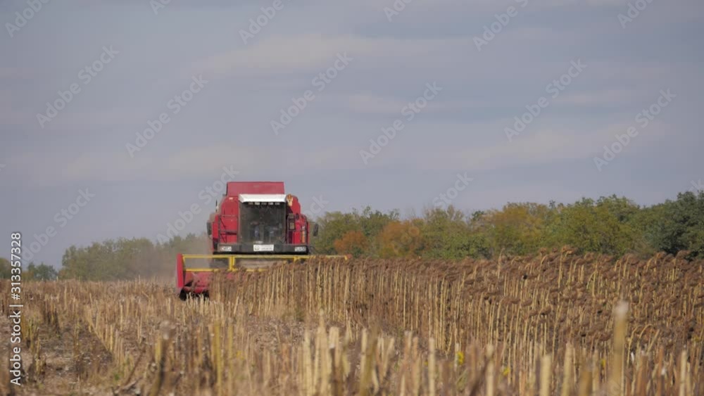 Combine harvester in the field during harvest sunflower, slow motion. Combine harvester in the field during harvest sunflower, slow motion.