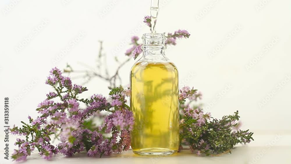 Calluna essential oil in  beautiful bottle on White background