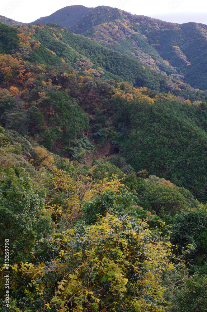 JR紀勢本線の荷坂峠トンネル