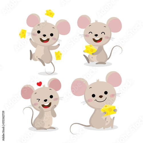 Cute mouse and cheese vector set. Little rat with food. Animal wildlife cartoon character.