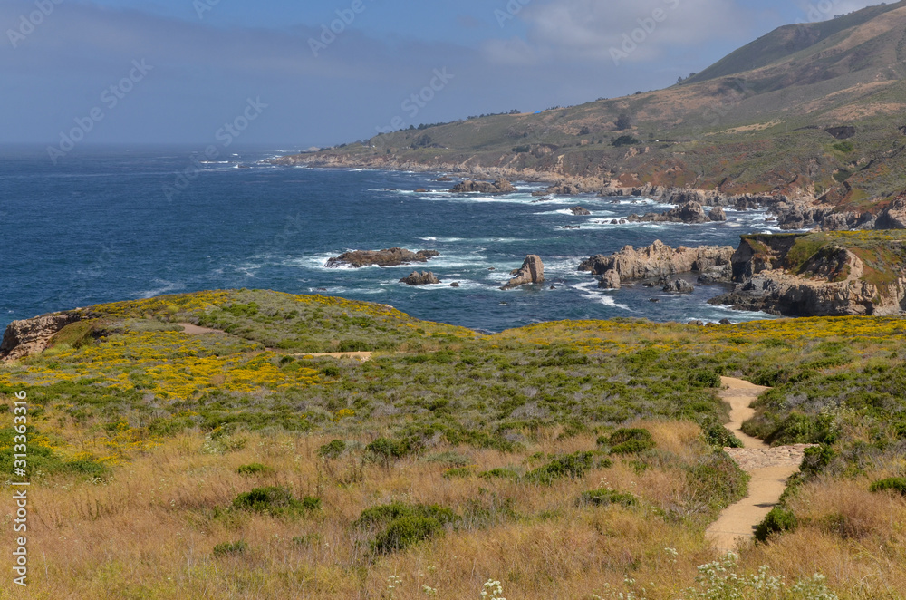 trails along rugged coastline at Soberanes Point (Garrapata State Park, Monterey County, California)