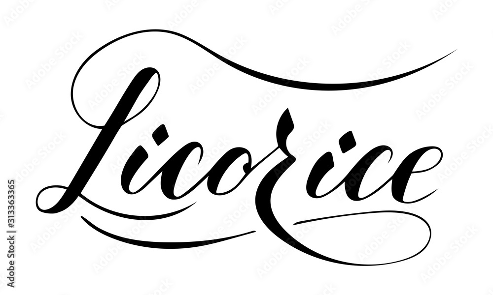 Vector hand written licorice text isolated on white background. Kitchen healthy herbs and spices for cooking. Script brushpen lettering with flourishes. Handwriting for banner, poster, product label