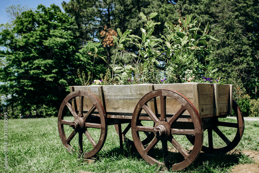 Old wheeled cart with flowers in parks