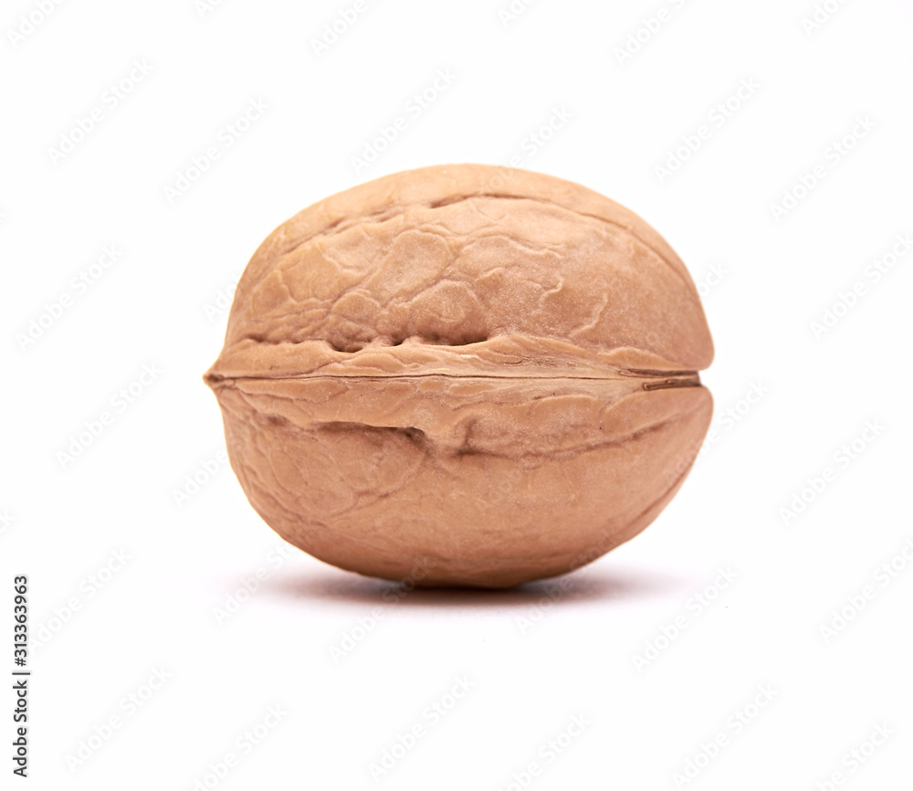 Walnut on an isolated white background. Close up. Macro. Walnut on an isolated white background. Close up. Macro.