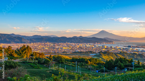 Sunrise over Mt. Fuji   Fuji Mountain and fresh green tea field at Nihondaira  Shizuoka  Japan