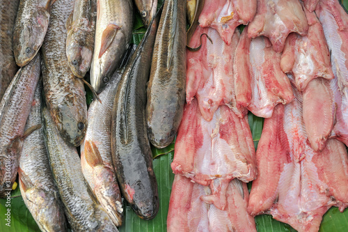 Fresh fish sales in market.