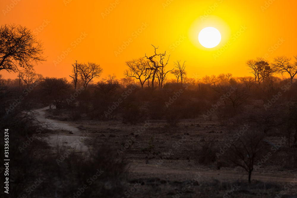 Sunset over the savanna with a dirt road.