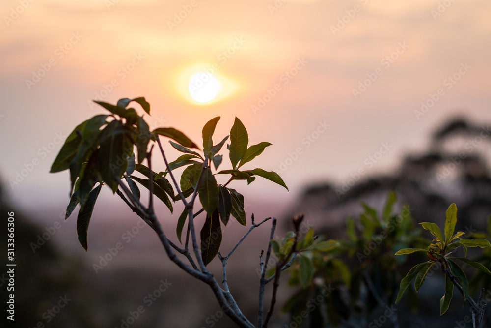 sunset sunset
