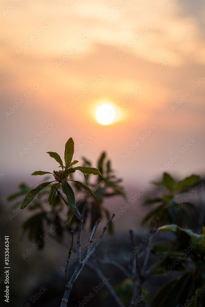 Obraz premium sunset 