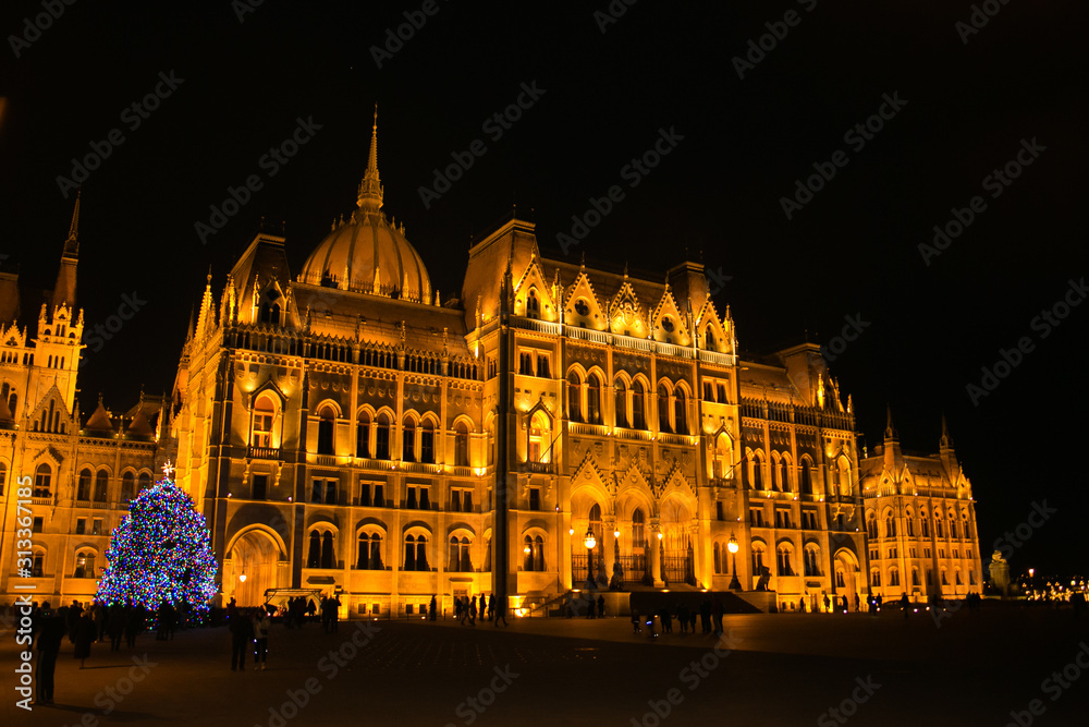 Beautiful view of parliament building at night with blue christmas tree