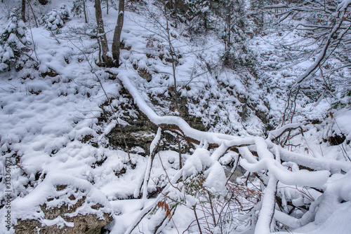 Wallpaper Mural Winter landscape in the valley of mountains with a beautiful stream and snow around, Slovakia Mala Fatra, Janosik Holes Torontodigital.ca