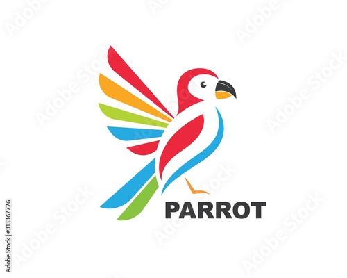 parrot illustration vector icon design