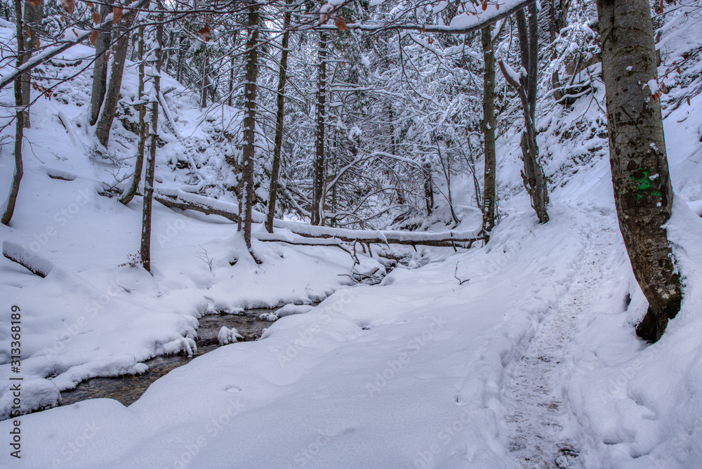 Winter landscape in the valley of mountains with a beautiful stream and snow around, Slovakia Mala Fatra, Janosik Holes