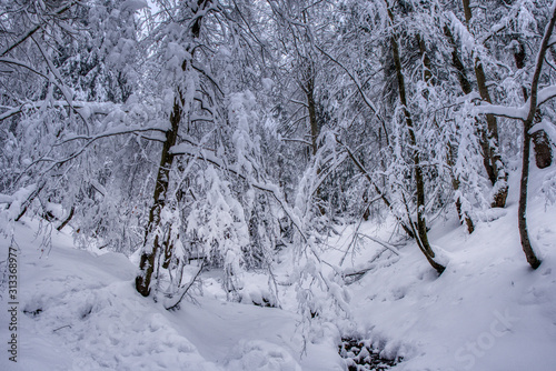 Boreal forest on a cold winter day after the snowstorm , slovakia , mala fatra