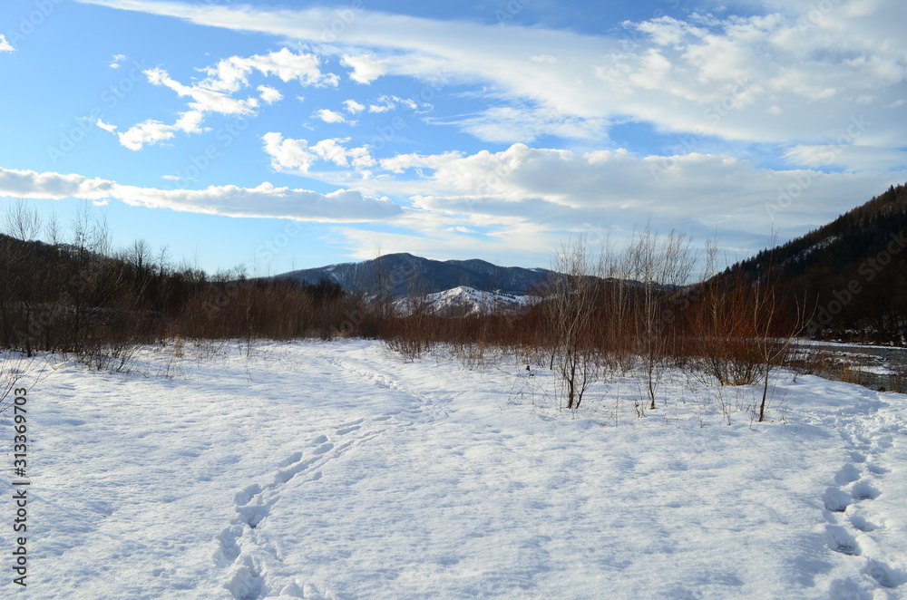 winter landscape in the forest with snow and blue sky and river