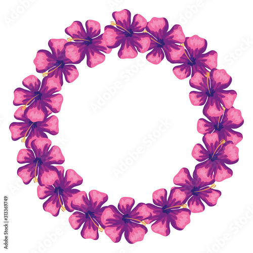 frame circular of flowers of purple color vector illustration design