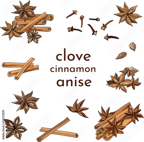 Set of cinnamon, anise and cloves, spices for tea and coffee on a white background. Realistic vector illustration for decoration of menus, tea and coffee cards.