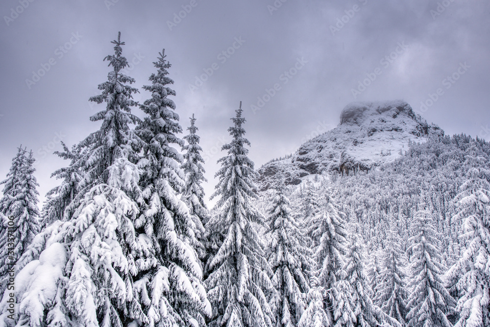 Beautiful winter landscape in the mountains ,slovakia mala fatra