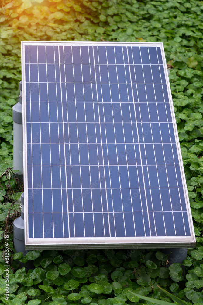 Closeup of solar panel with green aquatic plant background
