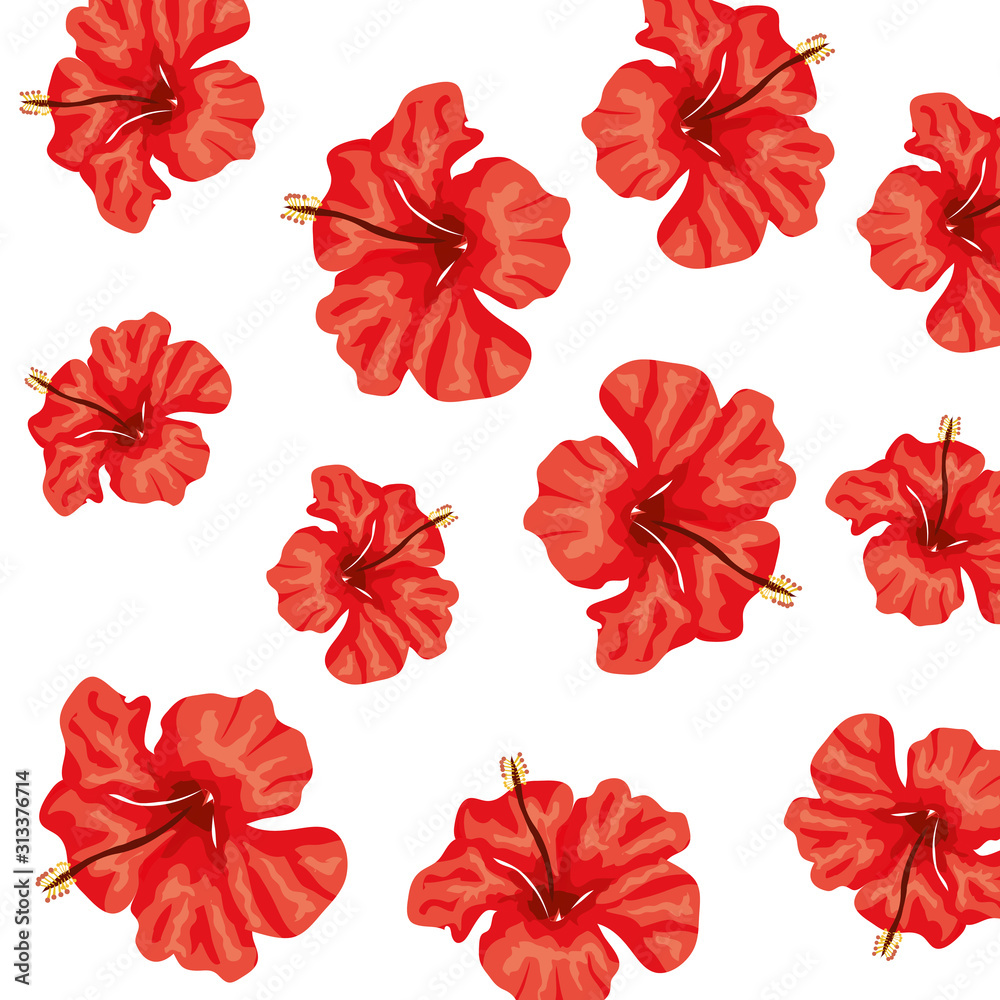 background of cute flowers of red color vector illustration design