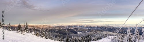 panorama : Snowy winter forest with spruce trees at sunset. czech europe