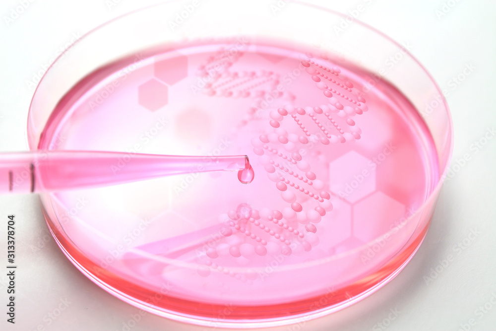 研究イメージ 遺伝子組み換え 研究イメージ 遺伝子組み換え