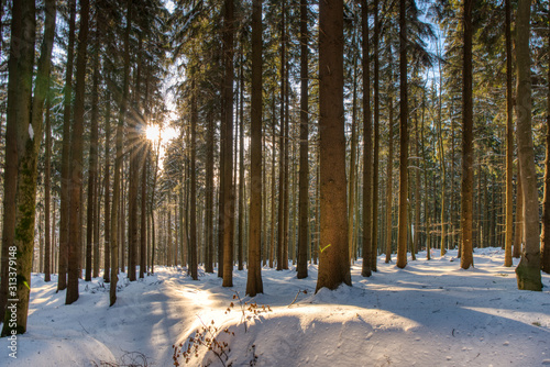 Splendid Christmas scene in the mountain forest at sunny day. Beautiful winter landscape in the beskydy czech , europe