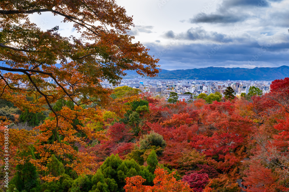 Foliage colors in Kiyomizu- dera shrine over Kyoto view. Foliage colors in Kiyomizu- dera shrine over Kyoto view.