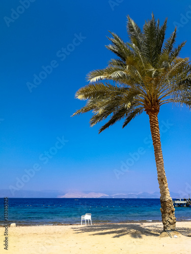 Red sea beach. Chair under a palm tree. Having a vacation in Jordan. Five-star resort and spa.
