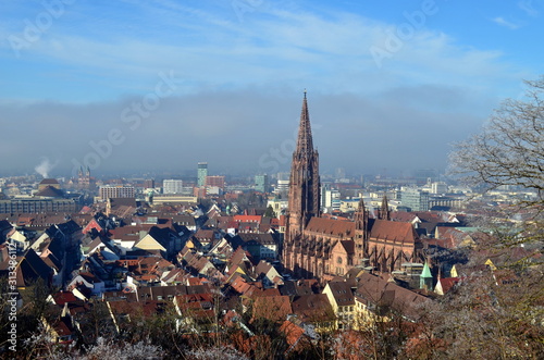 Blick auf Freiburg bei Sonne und Nebel
