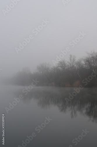 fog over the calm lake