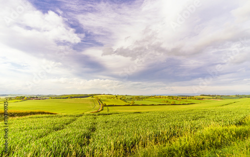 Rural panorama.