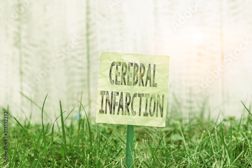 Writing note showing Cerebral Infarction. Business concept for focal brain necrosis due to complete and long ischemia Plain paper attached to stick and placed in the grassy land © Artur