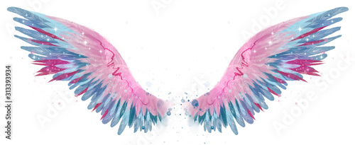 Fotografia Beautiful magic watercolor blue pink wings