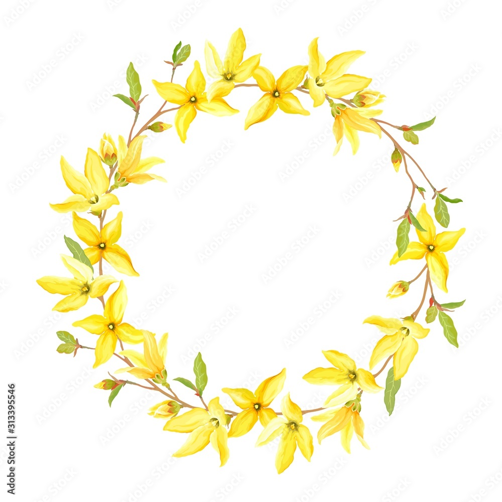 Spring wreath with blossoming yellow flowers and green leaves branches Forsythia. Vector tender illustration on white background in watercolor style. Spring wreath with blossoming yellow flowers and green leaves branches Forsythia. Vector tender illustration on white background in watercolor style.