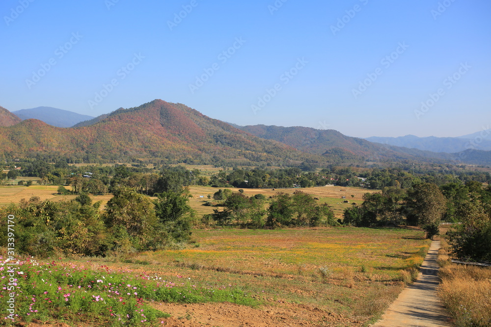 Fototapeta premium thailand northern landscape in chiang mai