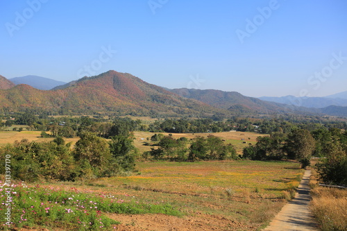thailand northern landscape in chiang mai photo