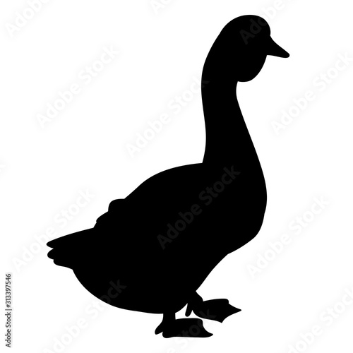vector, isolated, silhouette of a goose on a white background