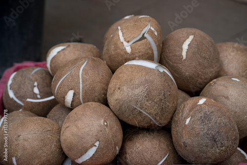 Stacking coconut at market.