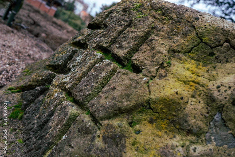 moss on stone wall