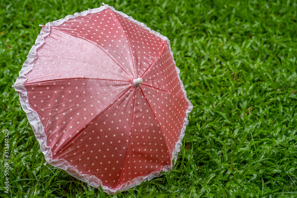 Pink umbrella at green grass in garden. 