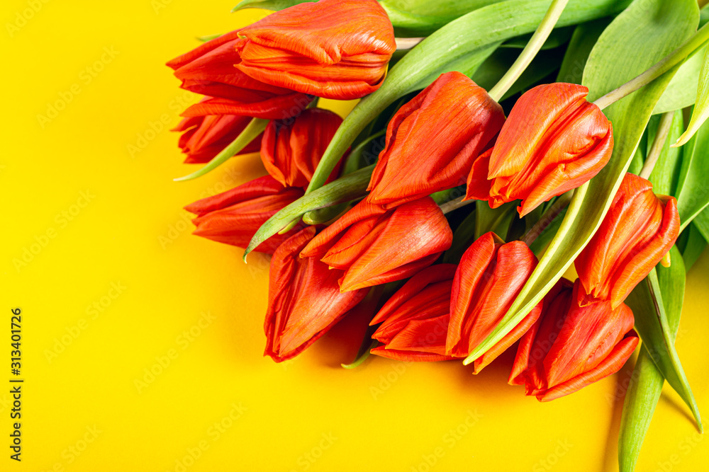 Orange tulips over yellow background, Easter. Birthday, mother day greeting card concept with copy space. Orange tulips over yellow background, Easter. Birthday, mother day greeting card concept with copy space.