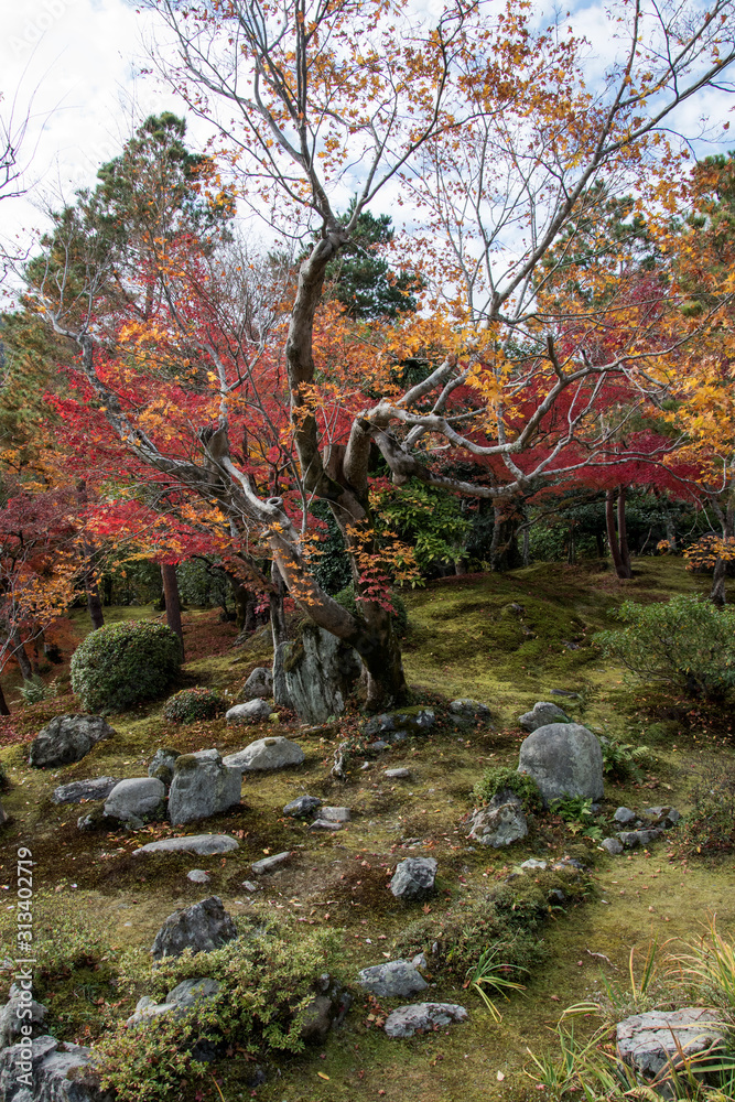 Beautiful zen garden in Tenryuji temple in Arashiyama, Kyoto, Japan Beautiful zen garden in Tenryuji temple in Arashiyama, Kyoto, Japan